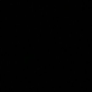 Meet your Posher, Anika